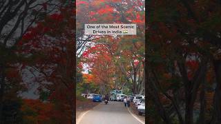 Most Scenic Drive In India Resimi