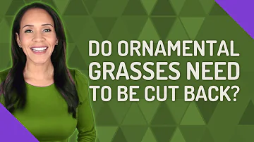 What happens if you don't Cut back ornamental grasses?