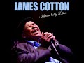 James Cotton Kansas City Blues Mama Talk To Your Daughter Liv Feat Johnny Winte R 2022 mp3