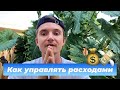 Как вести бюджет и управлять своими финансами?