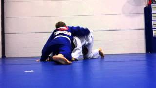 Little Champs 2 Cl Video 2 31811