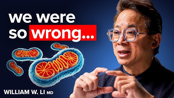 4 Foods to Make New Mitochondria (Scientific Proof) | Dr. William Li