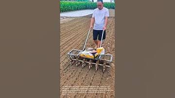 Manual Seeder in Action: Planting Seeds in the Field