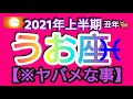 【タロット】ヤバメなくらい凄い事‼️うお座さんの開運への道🌈血液型別🐉ガーデンドラゴンさんの開運メッセージつき【2021年上半期タロットリーディング】