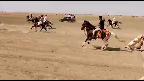 jaisalmer rawal horse race 27.2.2021 full video indian fastest rawal horses