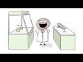 Lab Safety and Risk Management in Scientific Research