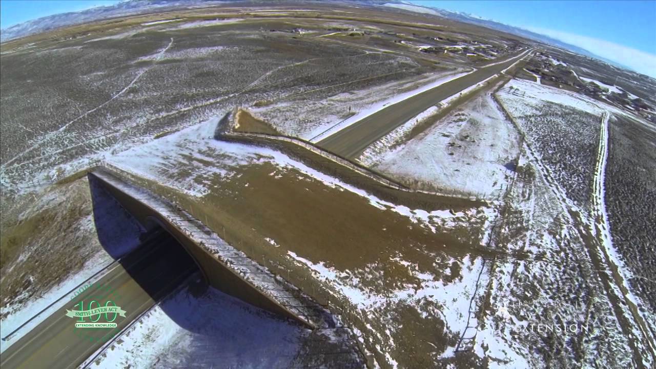 energy cloud 2 Wildlife Overpasses