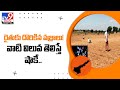 Two persons find diamonds in Kurnool
