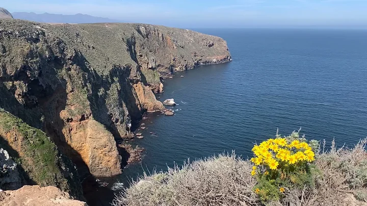 Channel Islands