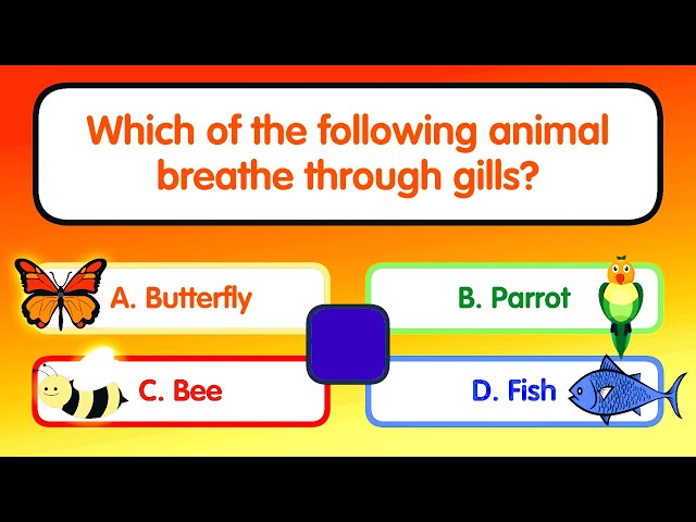 General Knowledge Trivia Questions and answer for Kids | GK Trivia Questions | Quiz Time class=