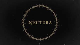 Nectura - Kawan Bukan Lawan  video lyric