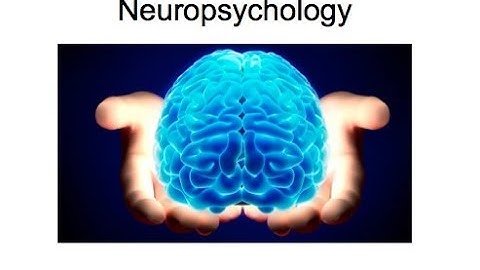 Neuropsychology 12.1: Hemispheric Connections in the Brain