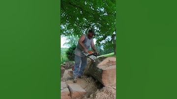 Thumbnail of Chainsaw Kickback What It Looks Like