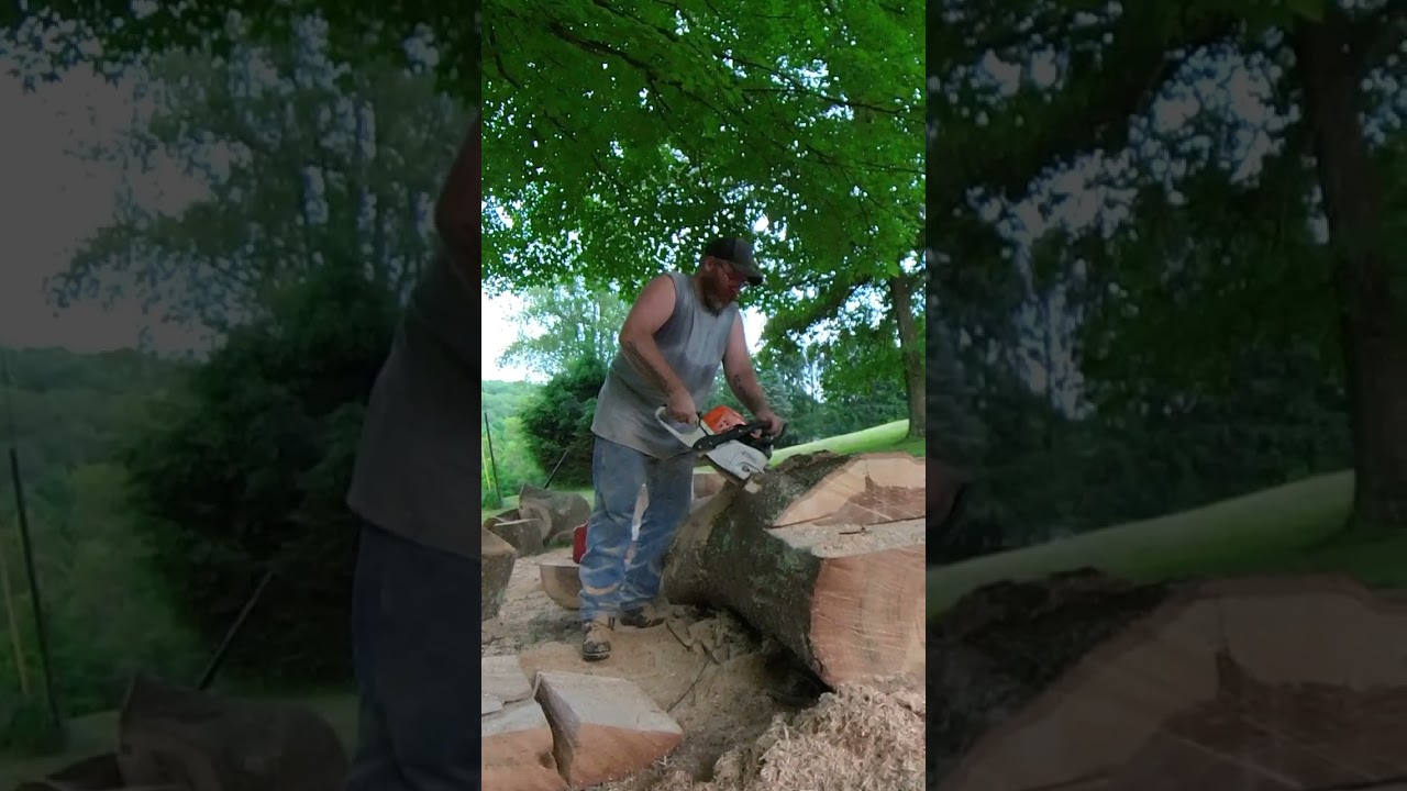 Chainsaw Kickback What It Looks Like