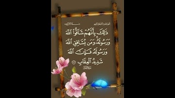 سورة الأنفال الآية ( 13 )