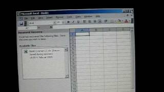 Microsoft Office Excel 2003 crashes on exit!