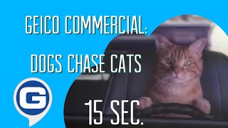 Geico Commercial  Dogs Chase Cats 15 Second Version 2011