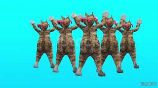 Bole Baba De Not Chapn Ki