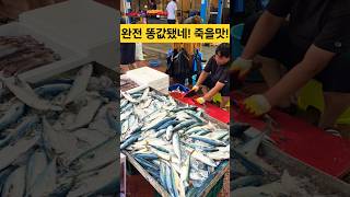 눈물난다! 완전 똥값 됐어요! 죽을맛! #시장 #맛집 #폭락 #세일 #쇼핑 #할인
