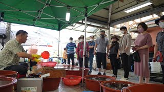 장 날이면 쉴새없는 가성비 시장 횟집 ! 현란한 달인의 회썰기 스킬 ! | Korean Market Fish Cutting Master ! | Korean Street Food