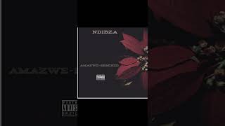 Amazwe Remixed  By Ndibza
