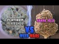 WEED WARS: Platinum Kush vs Guava Jelly