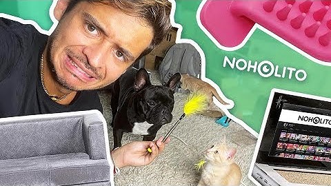 Episode 113 : 10 objets inutiles pour chat