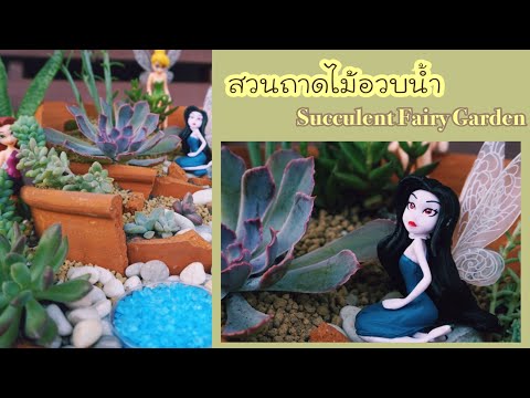 วีดีโอ: ตกแต่งสวน: พืชอวบน้ำ