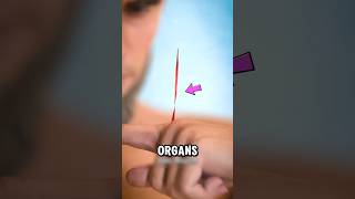 What Happens If Your Body Had NO Skin 😨