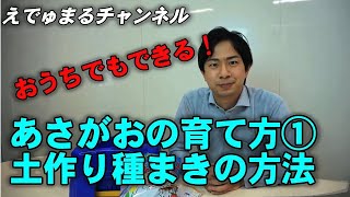 お家でも出来る！「あさがおの育て方(1)」－株式会社 文溪堂