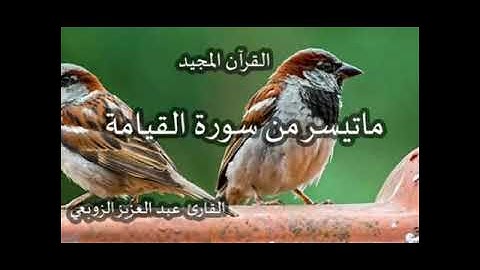 23 décembre 2020 ما تيسر من سورة القيامة للقارئ عبد العزيز الزوبعي