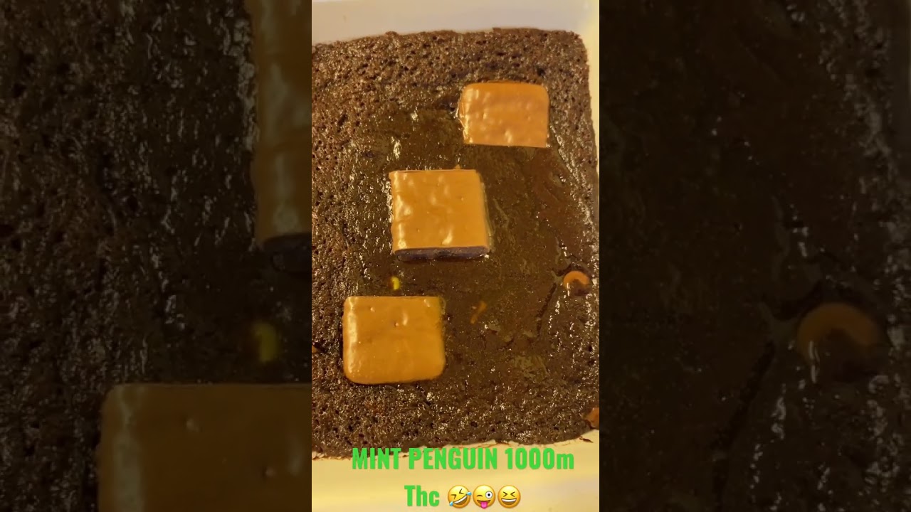 MINT PENGUIN THC brownie 1000mg 