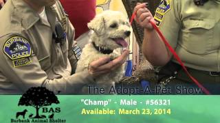 Adopt A Pet - March 22, 2014