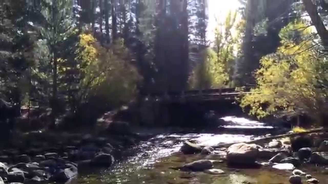 Fishing Robinson Creek YouTube