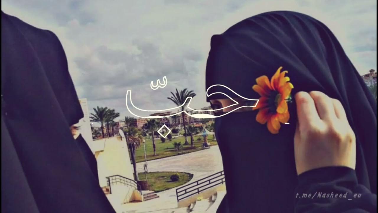 нашид ахи анта хьуррун. ахи анта хьуррун. нашид ахи.