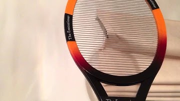 The Fly vs "The Executioner" ZAP!!!