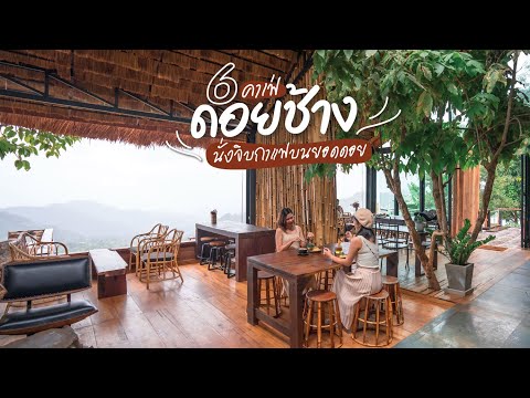 6 คาเฟ่ดอยช้าง วิวฟิน กาแฟดี | tripgether