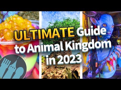 Vídeo: O Guia Completo do Disney's Animal Kingdom