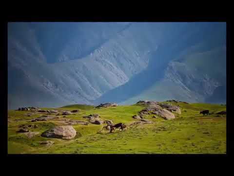 Sevara Nazarxon Ulug'imsan vatanim