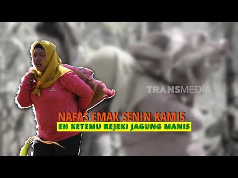 Perjuangan Emak Panen Jagung dan Masak Jagung Cumi Asin | ENAH BIKIN ENAK (14/09/26) P1