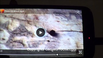 Answer - Micromax A116 HD Videos at 720p and 1080p - Playback Quality Test