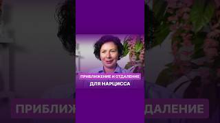 Что делать с эмоциями в отношениях с Нарциссом? Вебинар 09.01.24 в 19:00🕔 https://clck.ru/37Kwtb