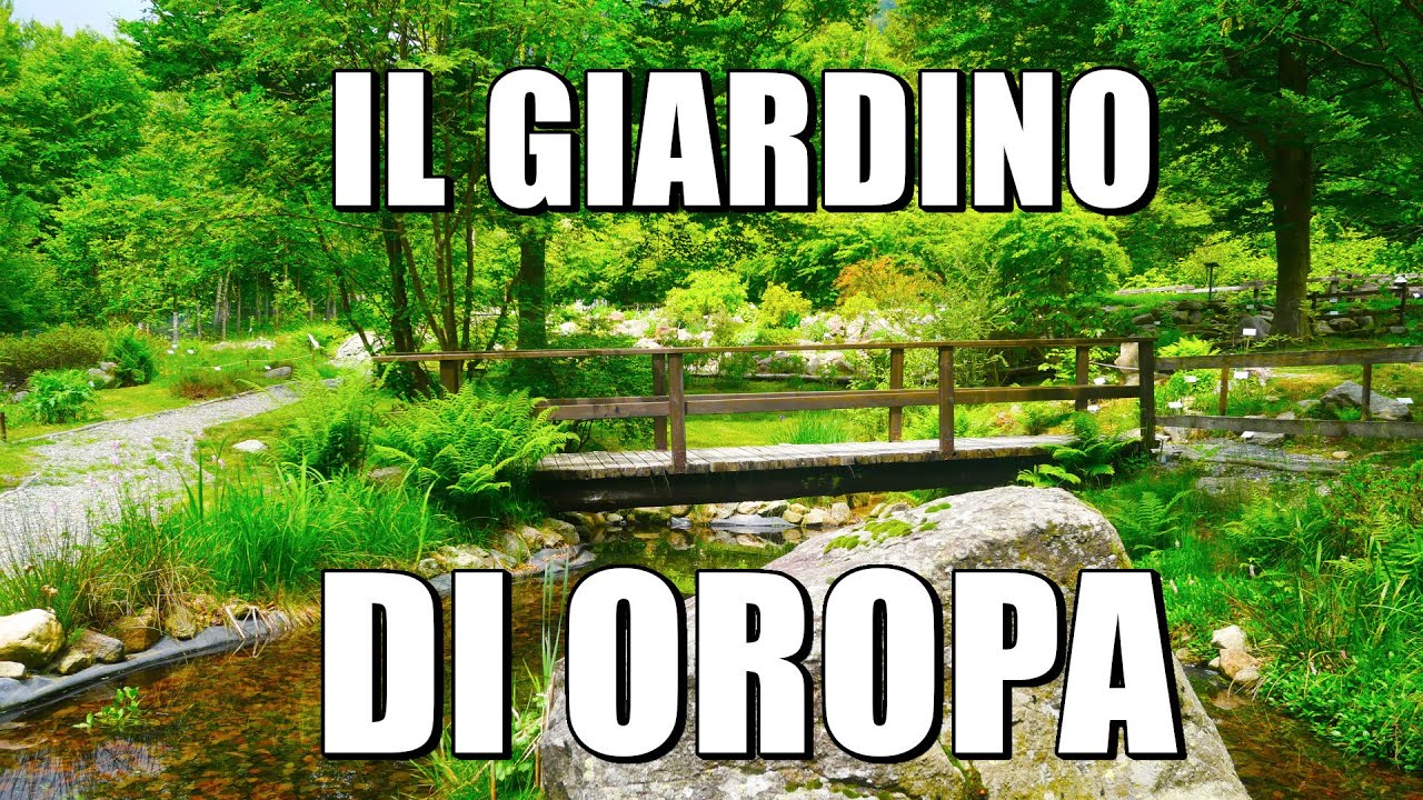 IL MAGNIFICO GIARDINO BOTANICO D'OROPA:  UN PARADISO DI PIANTE RARE ED UN ANGOLO DI PACE!