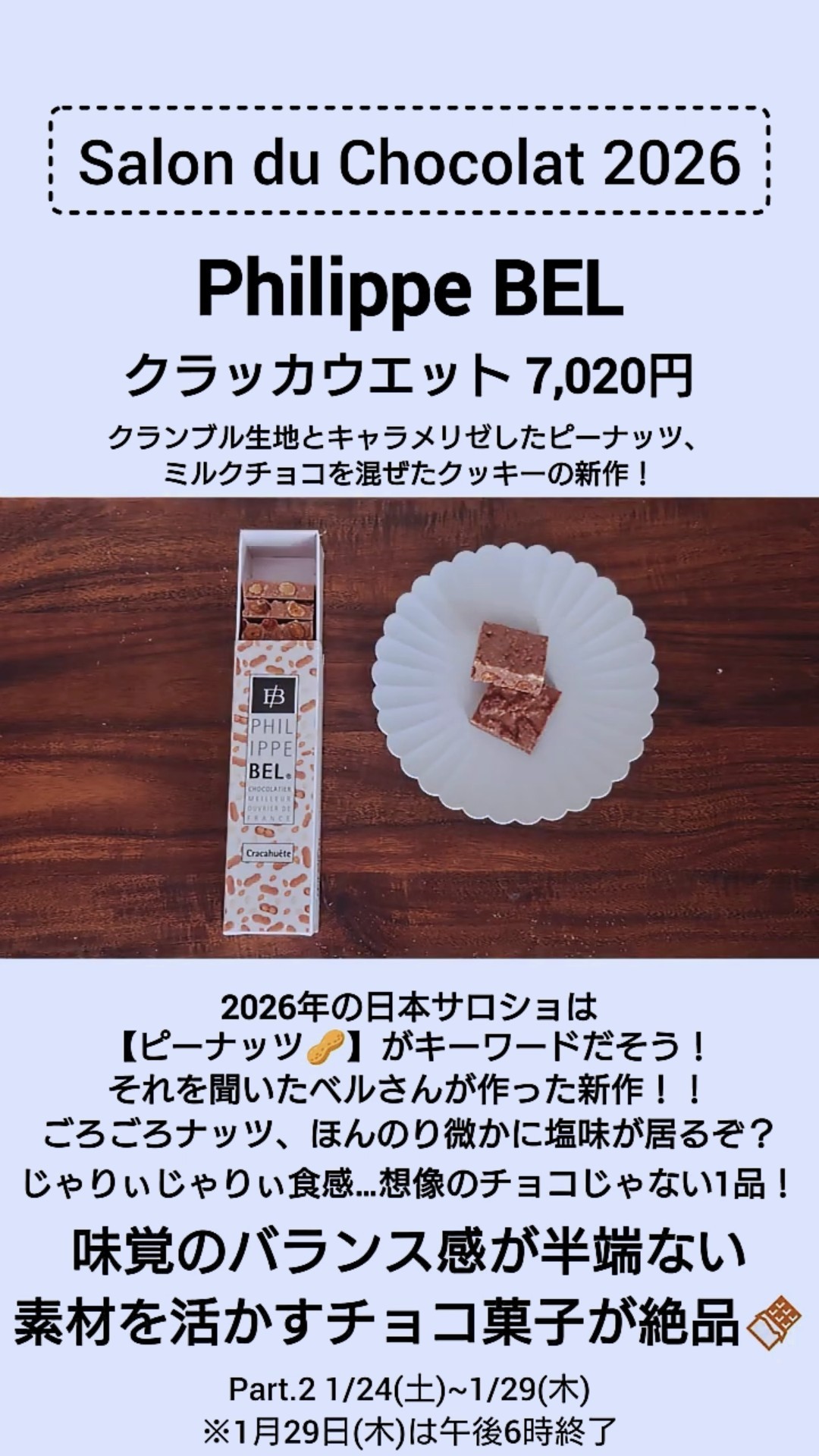 フィリップ ベル チョコレート クラッカウエット フィリップベル