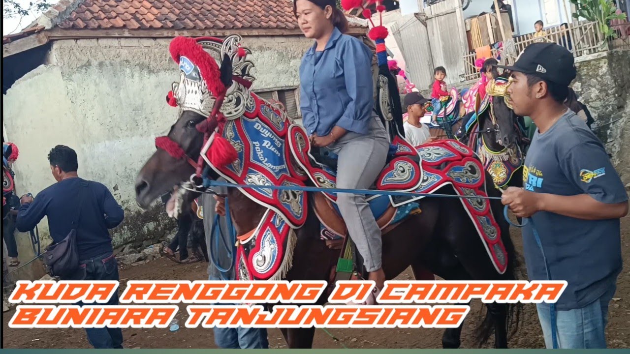 KUDA RENGGONG DI CAMPAKA BUNIARA TANJUNGSIANG