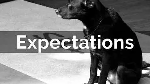 behavior expectations matrix