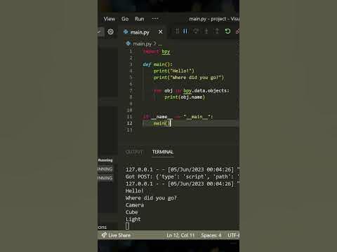 Blender Python VSCode: print() statement output - YouTube