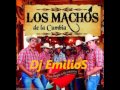 mix los machos de la cumbia Dj EmilioS