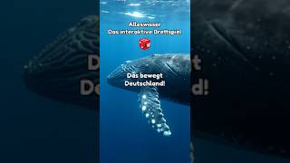Alleswisser – Kennst du den Wal? 🐋 #Alleswisser #Alleswisserbrettspiel #Timmy #Wal #Ostsee #Quiz