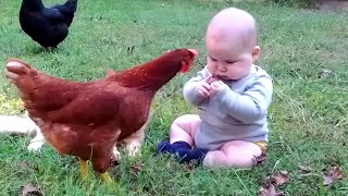 When Babies Meeting Animals For The First Time - Baby Love